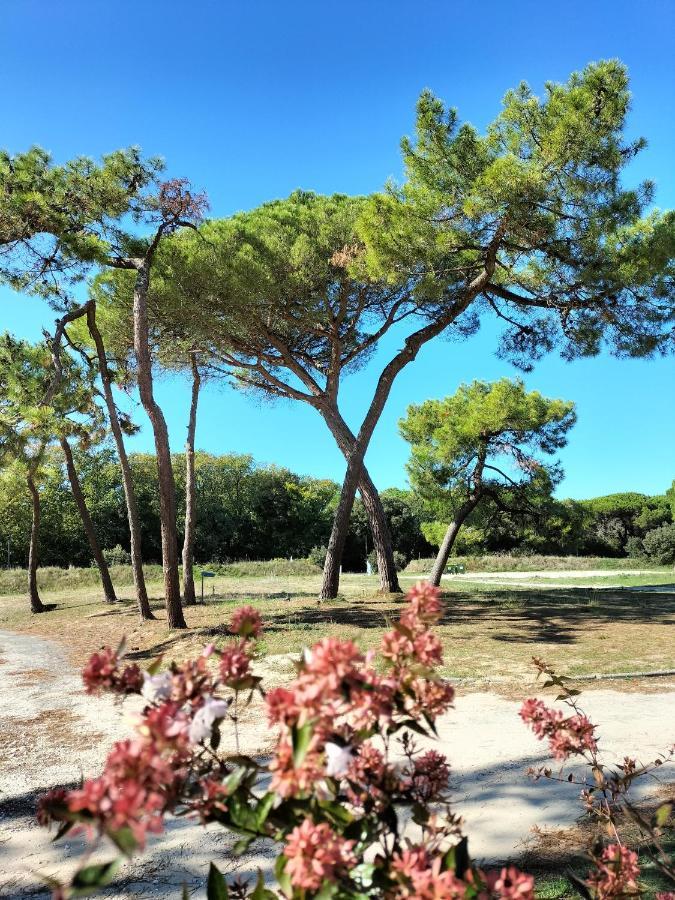 Les Salines Boyardville - Appart'Hotel Saint-Pierre-d'Oleron Exterior photo